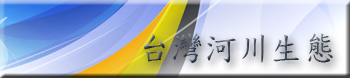 台灣河川生態